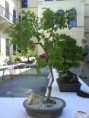/album/vystava/dsc01257-jpg/